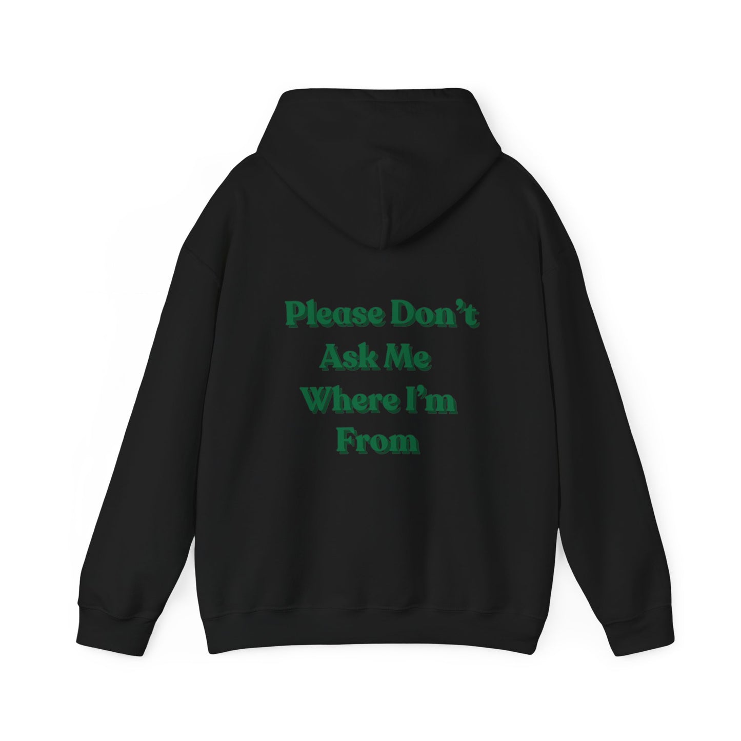 Please Don’t Ask Me Where I’m from Hoodie